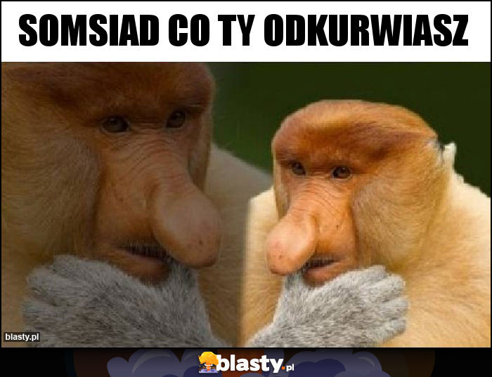 Somsiad co ty odkurwiasz