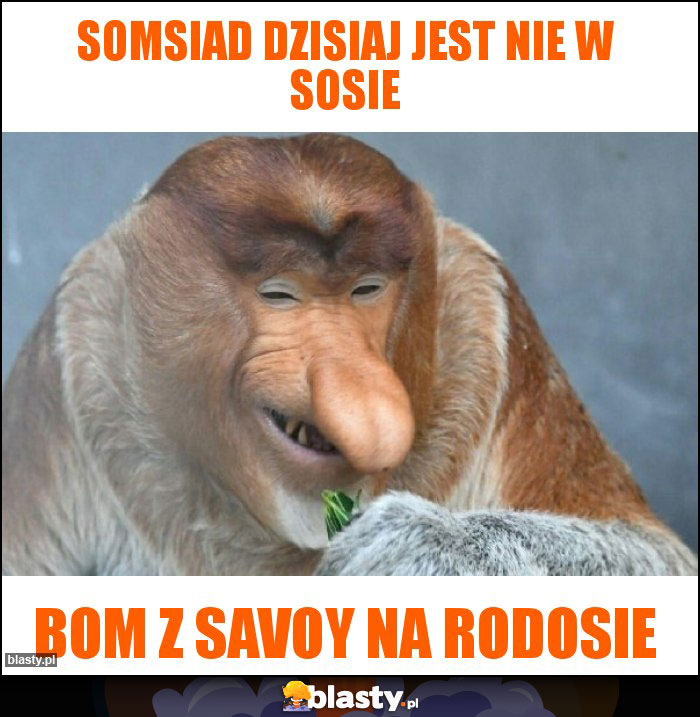 somsiad dzisiaj jest nie w sosie somsiad dzisiaj jest nie w sosie