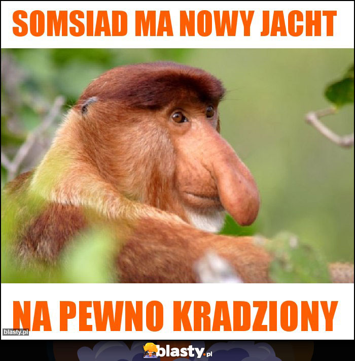 Somsiad ma nowy Jacht Somsiad ma nowy Jacht