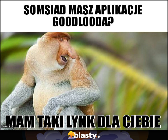 Somsiad masz aplikacje Goodlooda? Somsiad masz aplikacje Goodlooda?