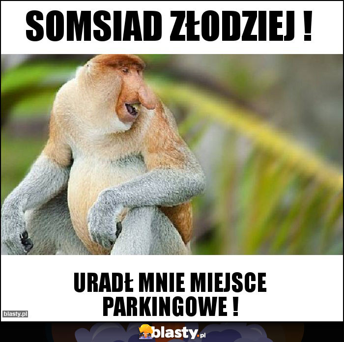 Somsiad złodziej ! Somsiad złodziej !