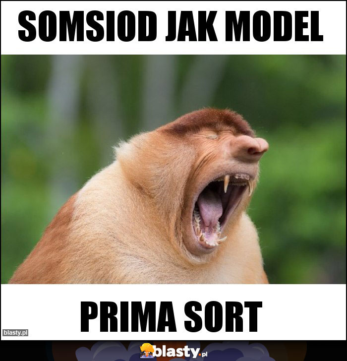 Somsiod jak model Somsiod jak model