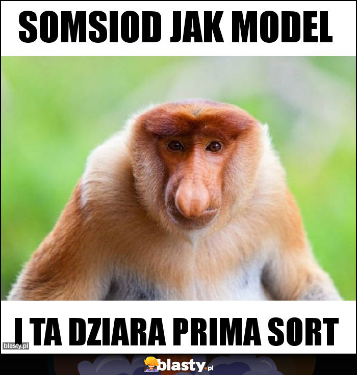 Somsiod jak model Somsiod jak model