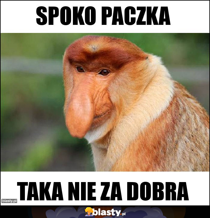Spoko paczka Spoko paczka