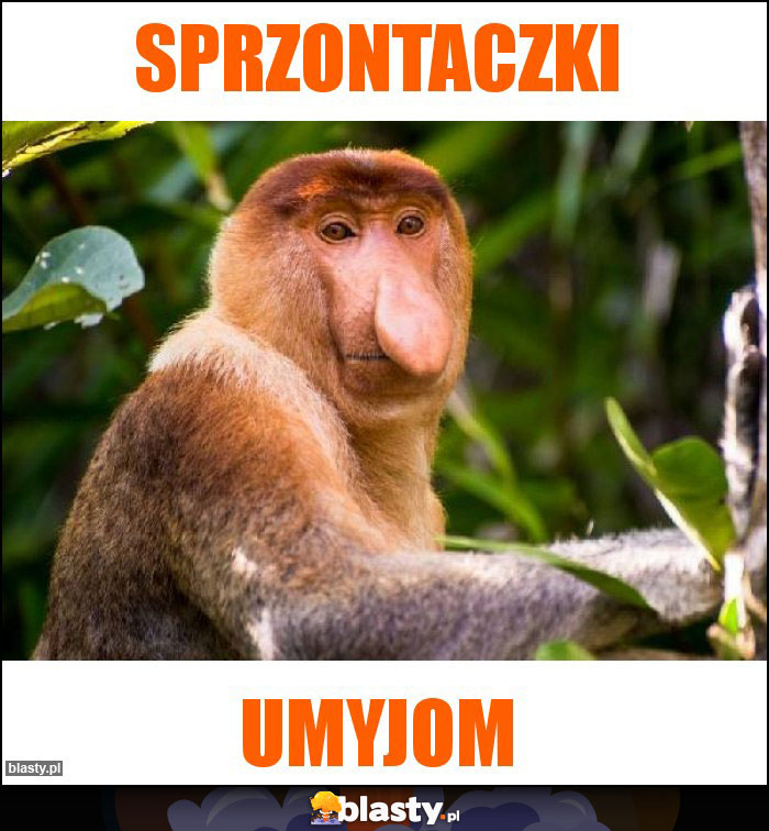 Sprzontaczki