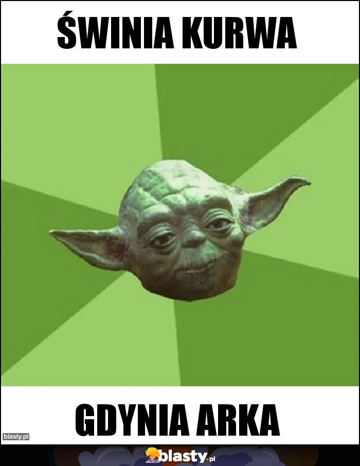 ŚWINIA KURWA ŚWINIA KURWA