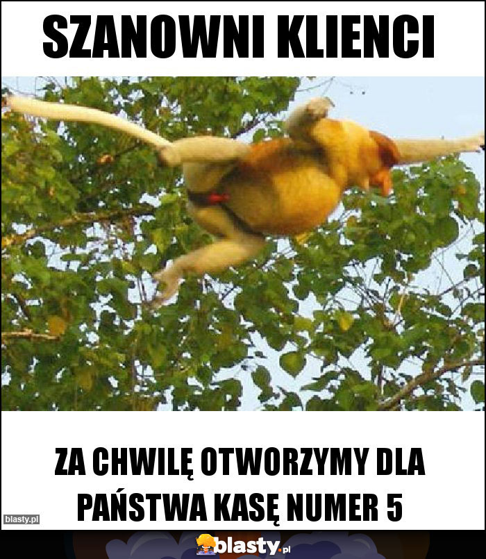 Szanowni klienci