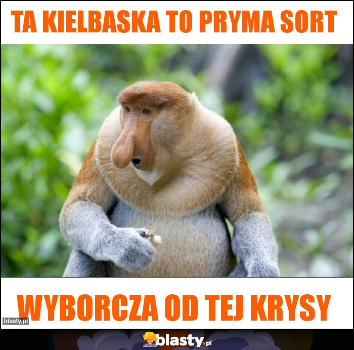 Ta kielbaska to pryma sort Ta kielbaska to pryma sort