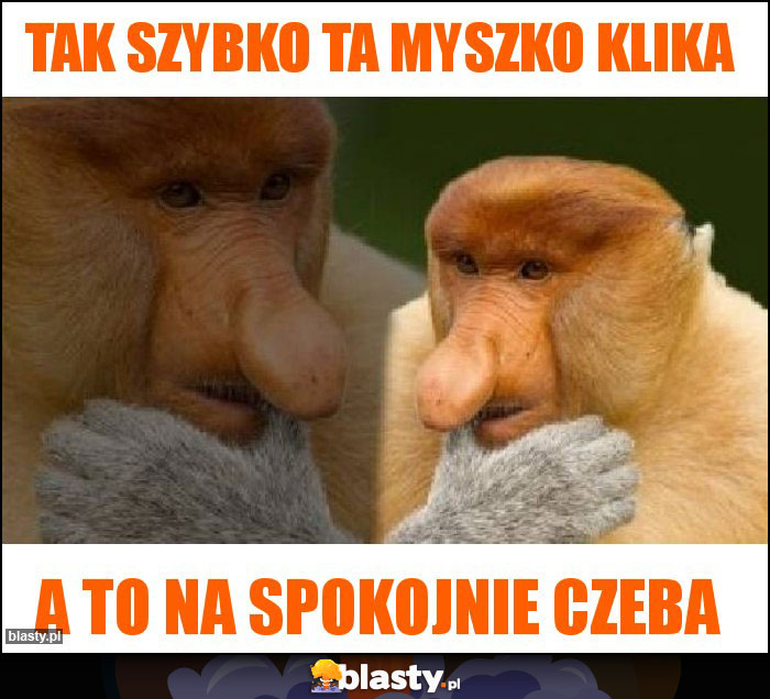 tak szybko ta myszko klika tak szybko ta myszko klika