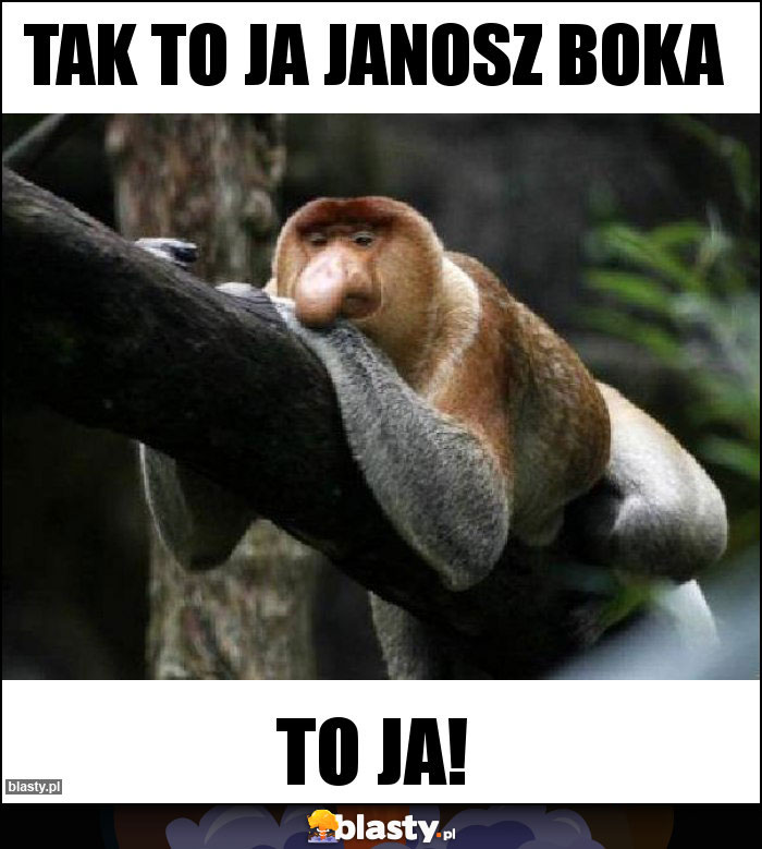 Tak to ja Janosz Boka Tak to ja Janosz Boka