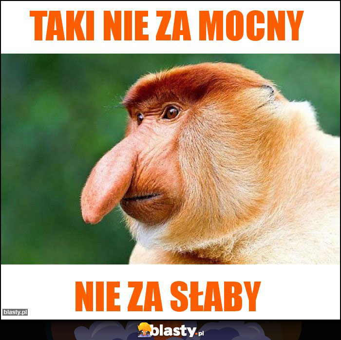 Taki nie za mocny Taki nie za mocny