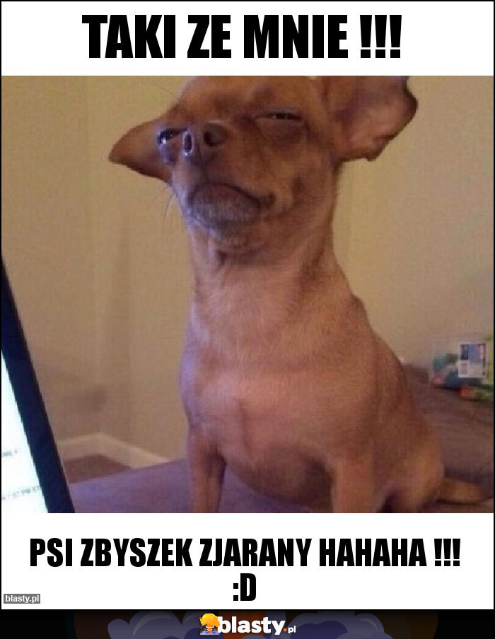 taki ze mnie !!! taki ze mnie !!!