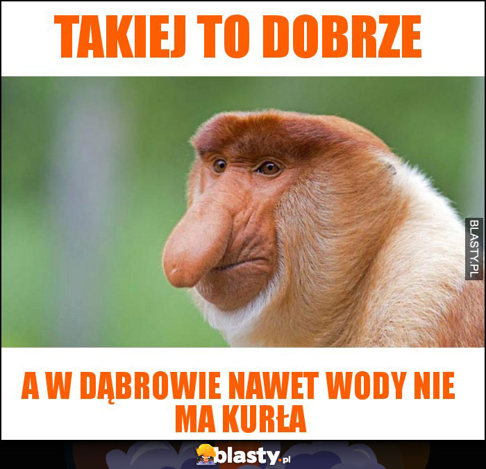 takiej to dobrze takiej to dobrze