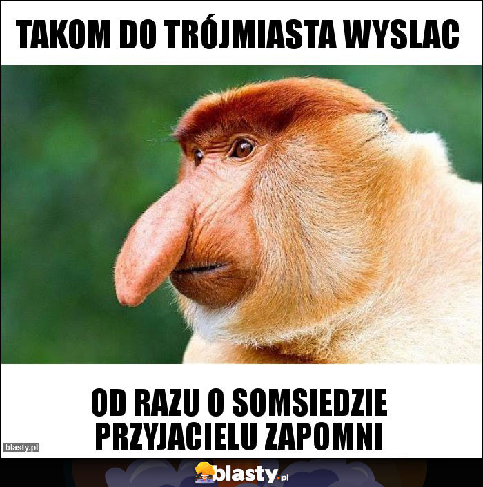 Takom do Trójmiasta wyslac Takom do Trójmiasta wyslac