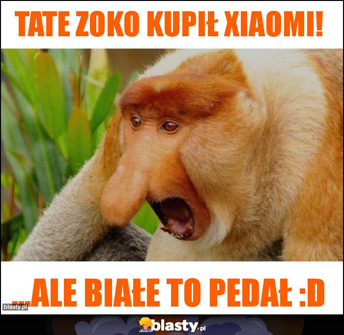TATE ZOKO KUPIŁ XIAOMI! TATE ZOKO KUPIŁ XIAOMI!