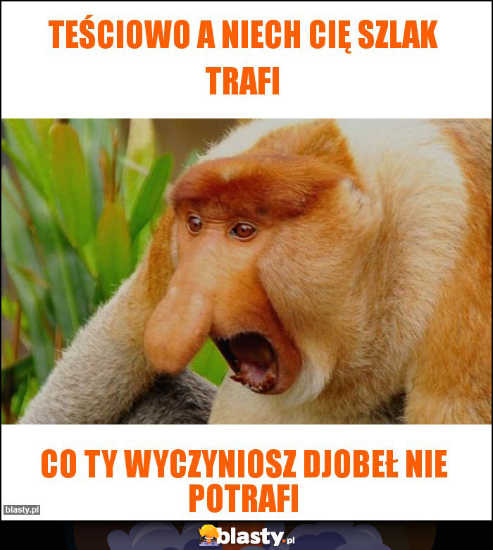 Teściowo a niech cię szlak trafi Teściowo a niech cię szlak trafi