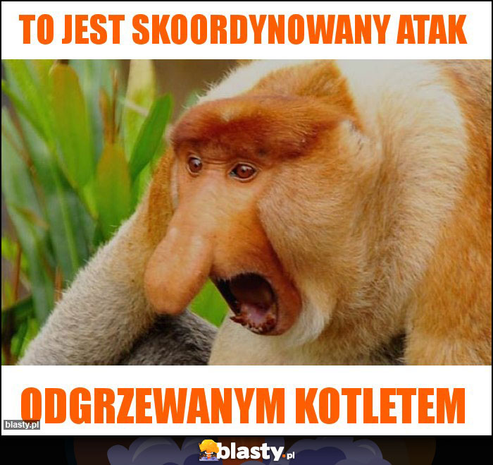 To jest skoordynowany atak To jest skoordynowany atak