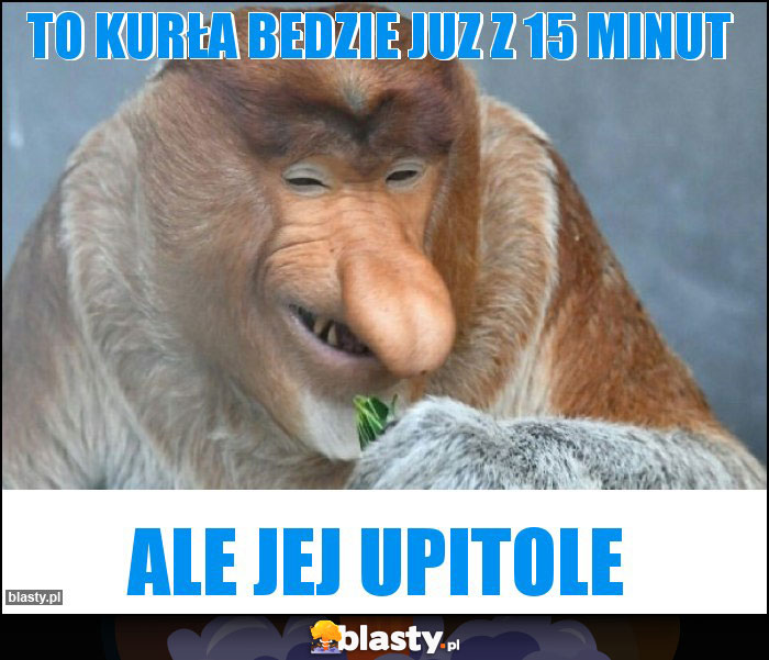 To kurła bedzie juz z 15 minut To kurła bedzie juz z 15 minut