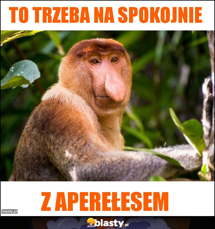 To trzeba na spokojnie