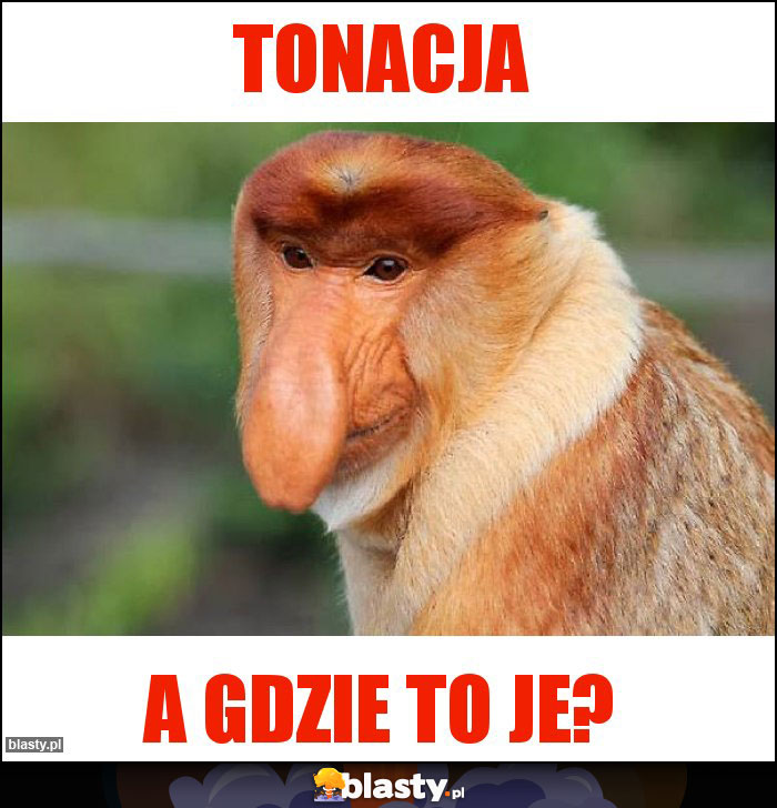 Tonacja