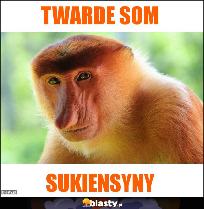 Twarde som Twarde som