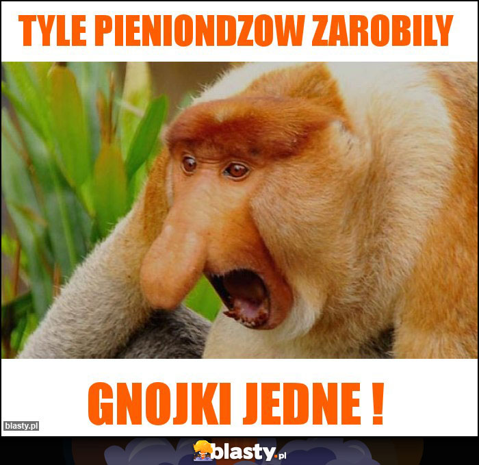 Tyle Pieniondzow zarobily Tyle Pieniondzow zarobily