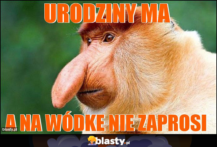 Urodziny ma Urodziny ma