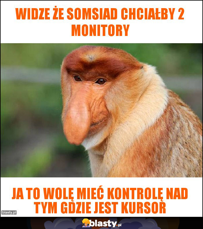 Widze że somsiad chciałby 2 monitory Widze że somsiad chciałby 2 monitory