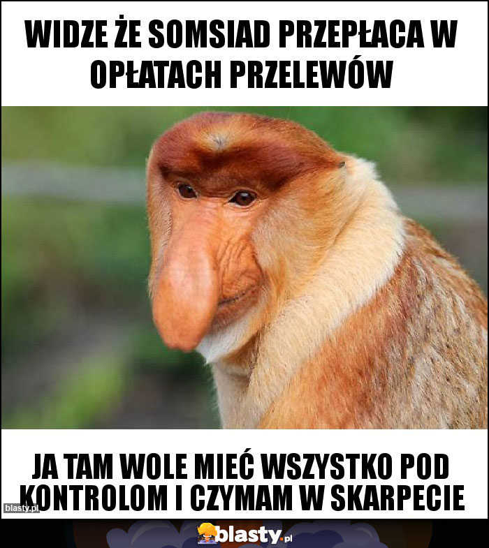 WIDZE ŻE SOMSIAD PRZEPŁACA W OPŁATACH PRZELEWÓW WIDZE ŻE SOMSIAD PRZEPŁACA W OPŁATACH PRZELEWÓW