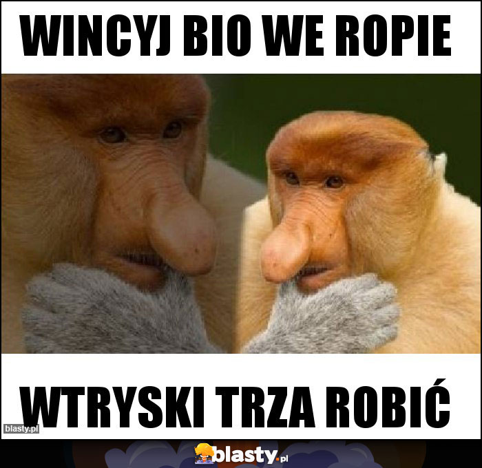 WINCYJ BIO WE ROPIE WINCYJ BIO WE ROPIE