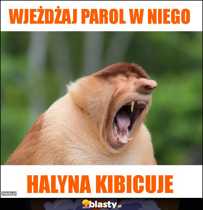 Wjeżdżaj parol w niego Wjeżdżaj parol w niego
