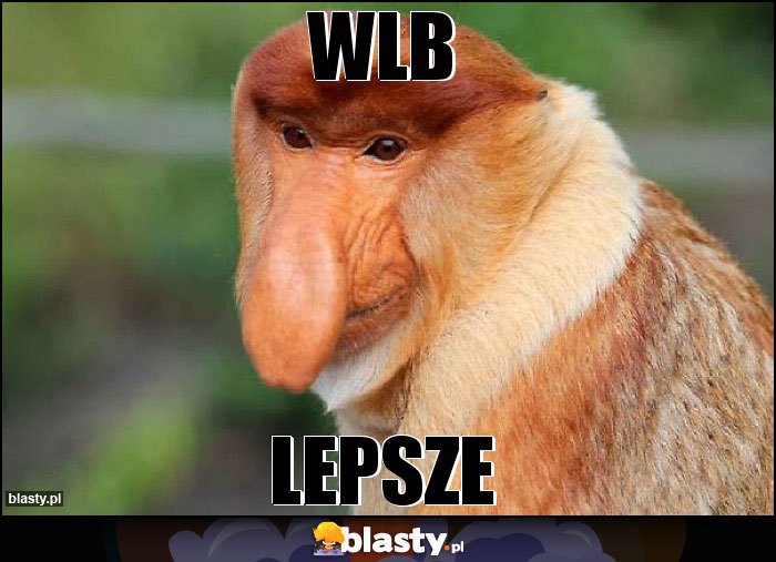 WLB