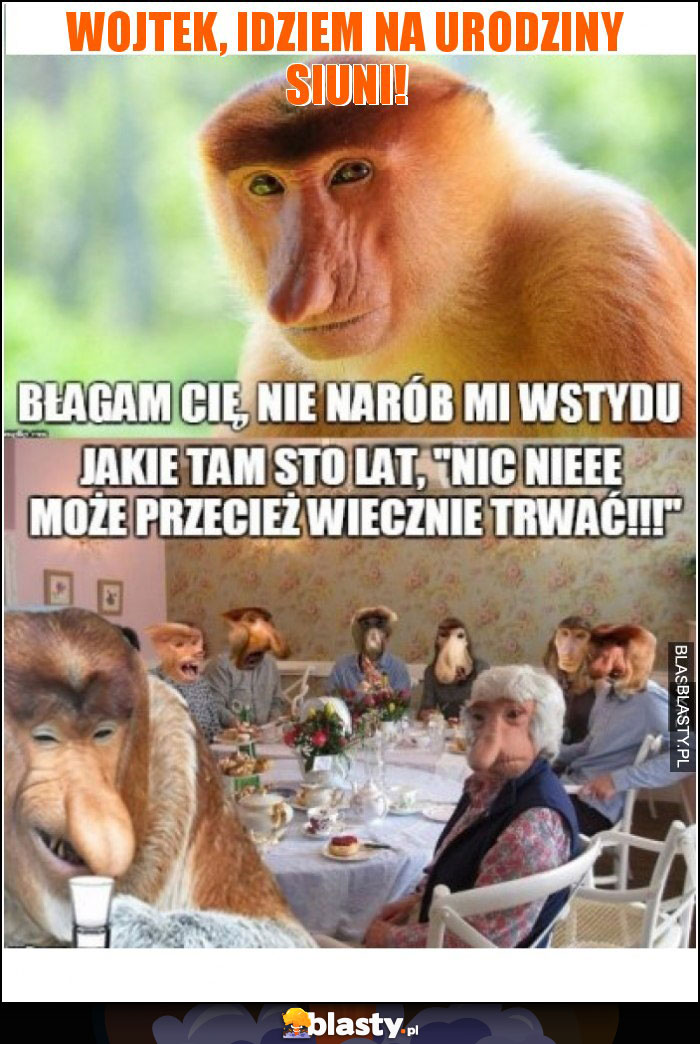 Wojtek, idziem na urodziny Siuni!