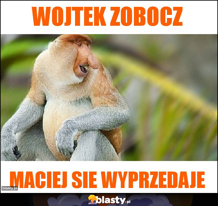 Wojtek zobocz Wojtek zobocz