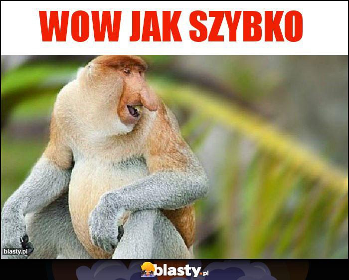 WOW JAK SZYBKO WOW JAK SZYBKO
