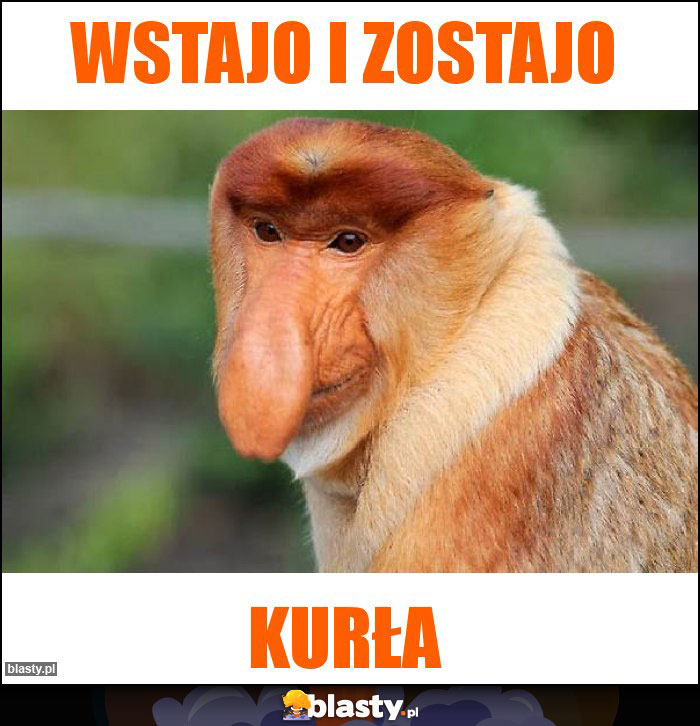 WSTAJO i ZOSTAJO WSTAJO i ZOSTAJO