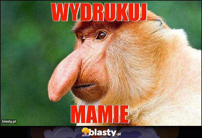 WYDRUKUJ