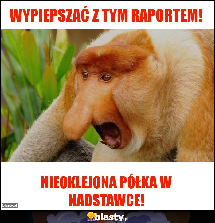 Wypiepszać z tym raportem!