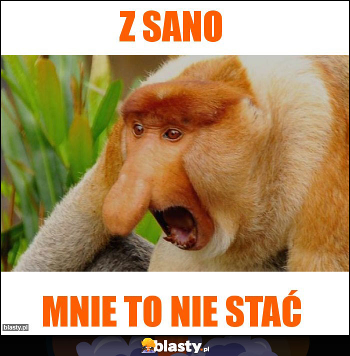 Z SANO