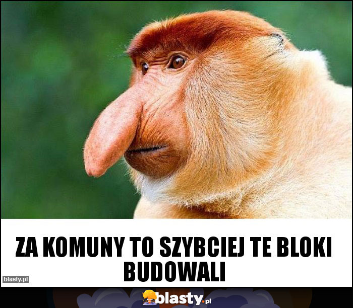 Za komuny to szybciej te bloki budowali Za komuny to szybciej te bloki budowali