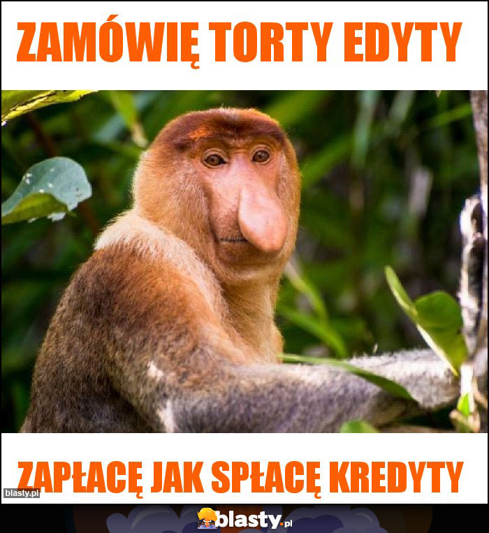 Zamówię torty Edyty