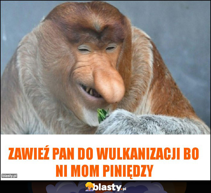 Zawieź pan do wulkanizacji bo ni mom piniędzy Zawieź pan do wulkanizacji bo ni mom piniędzy