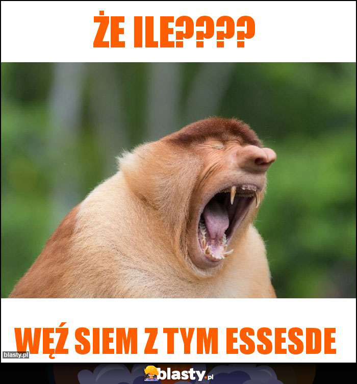 że Ile???? że Ile????