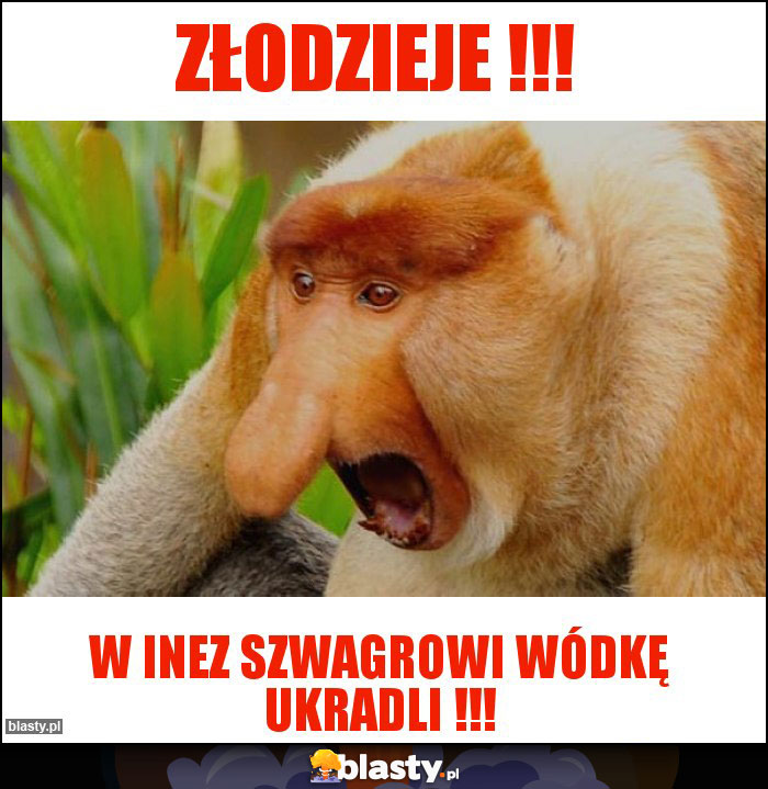 Złodzieje !!! Złodzieje !!!