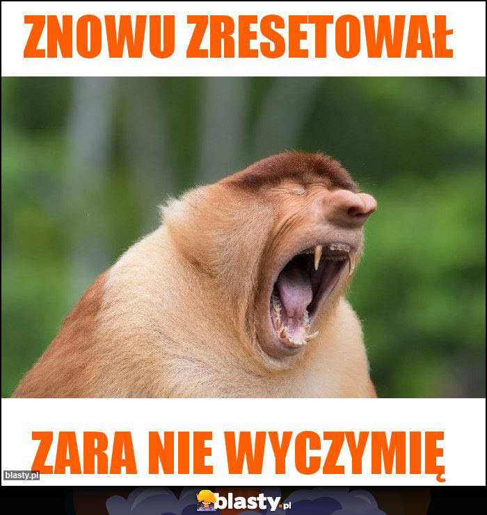 ZNOWU ZRESETOWAŁ ZNOWU ZRESETOWAŁ