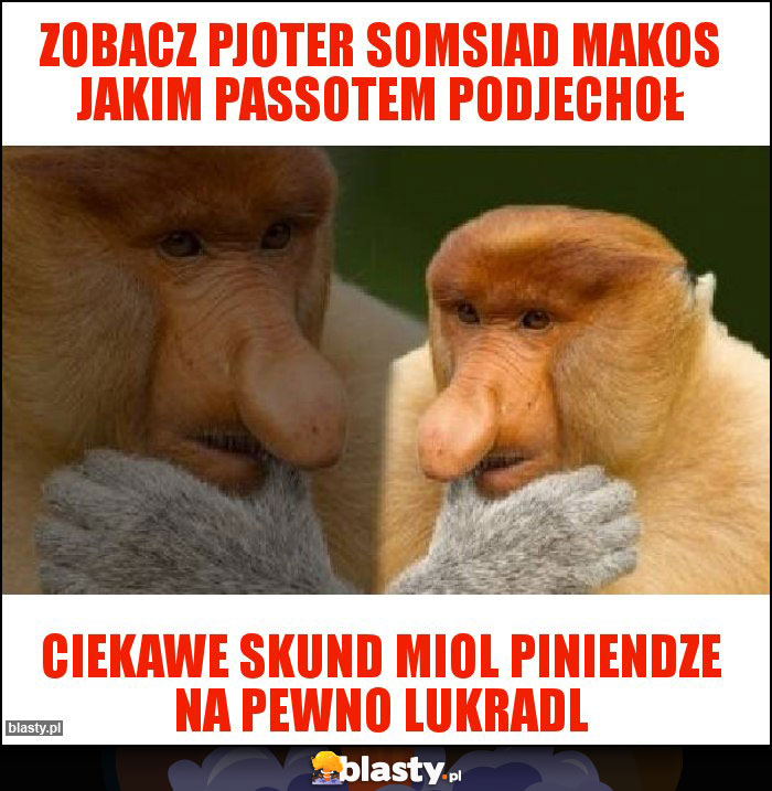 Zobacz pjoter somsiad makos jakim passotem podjechoł Zobacz pjoter somsiad makos jakim passotem podjechoł
