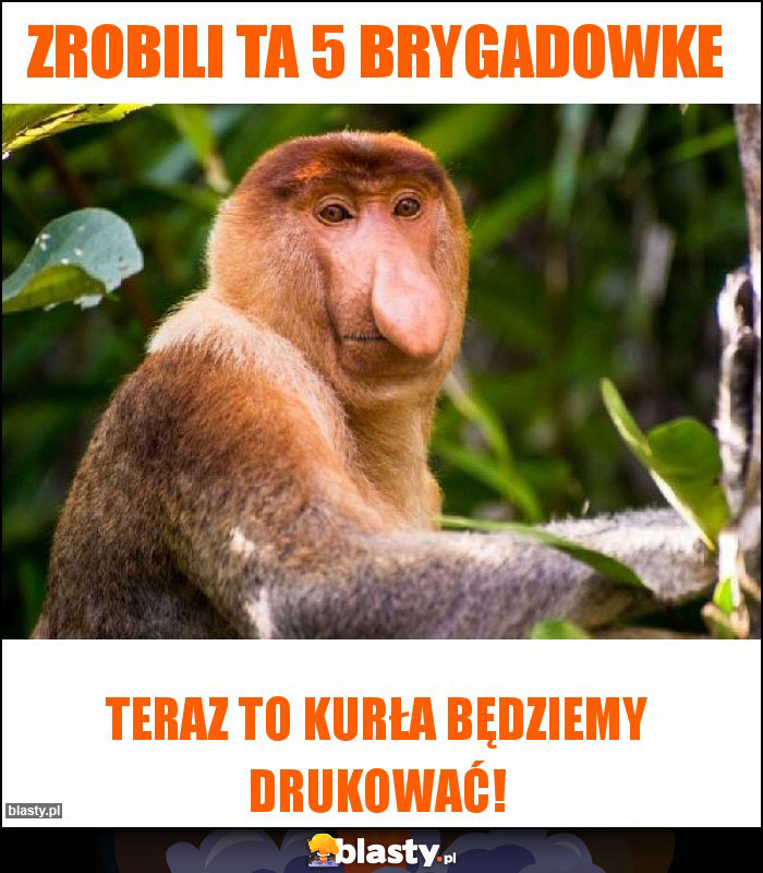 Zrobili ta 5 brygadowke Zrobili ta 5 brygadowke