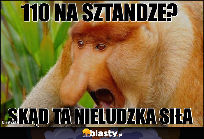110 na sztandze? 110 na sztandze?