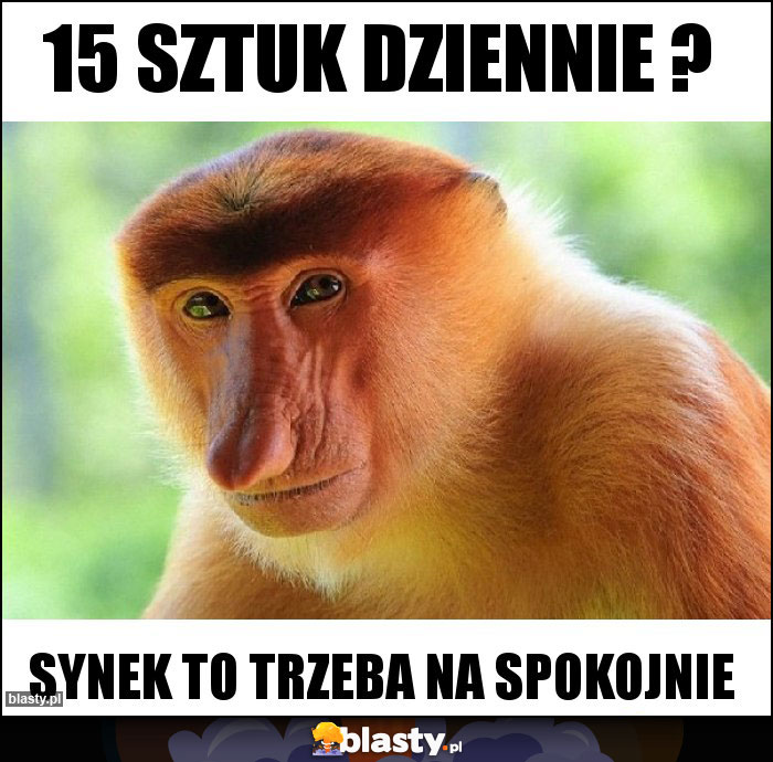 15 sztuk dziennie ? 15 sztuk dziennie ?