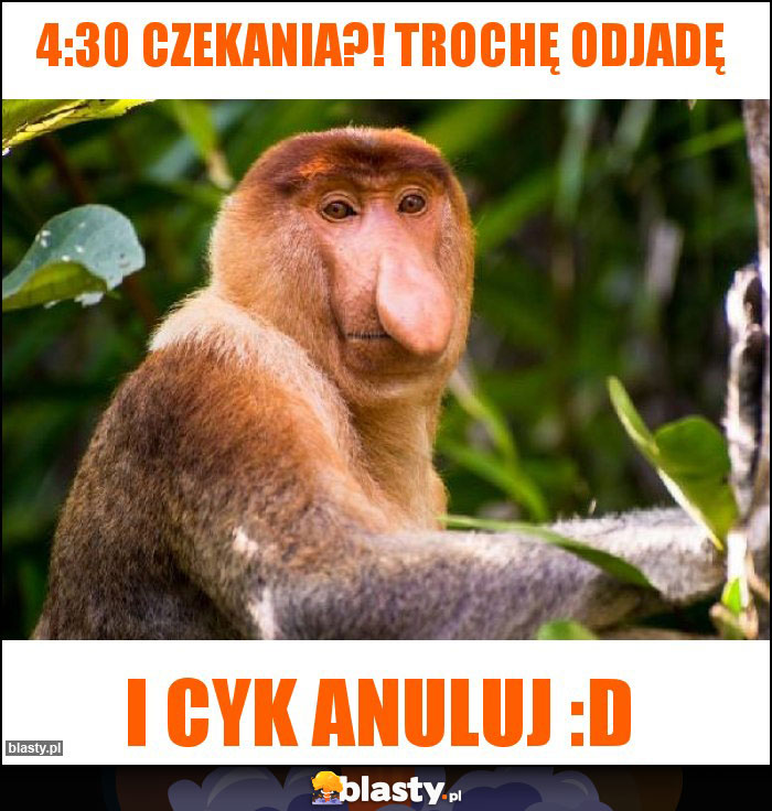 4:30 czekania?! Trochę odjadę 4:30 czekania?! Trochę odjadę